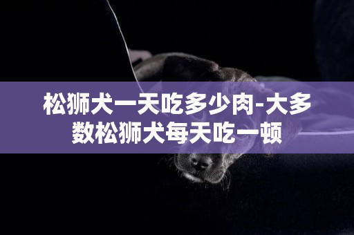 松獅犬一天吃多少肉-大多數松獅犬每天吃一頓