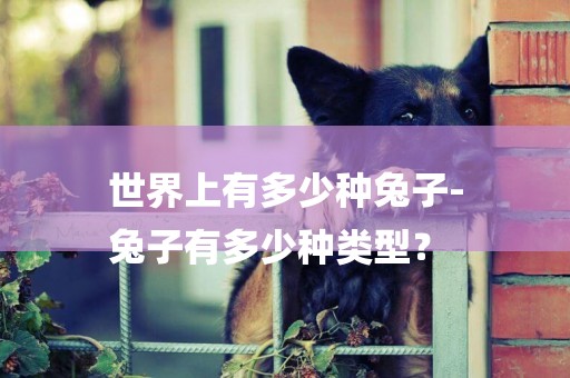 世界上有多少種兔子-
兔子有多少種類型？