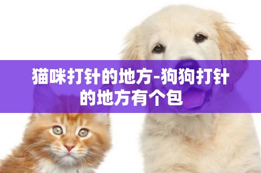 貓咪打針的地方-狗狗打針的地方有個包