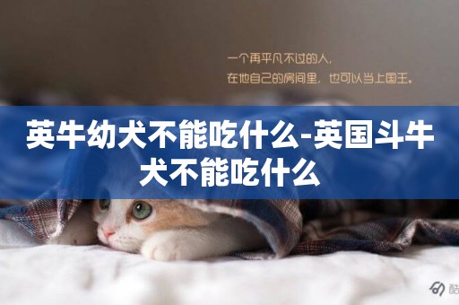英牛幼犬不能吃什么-英國斗牛犬不能吃什么