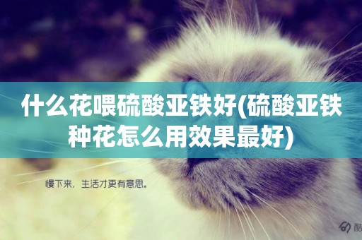 什么花喂硫酸亞鐵好(硫酸亞鐵種花怎么用效果最好)