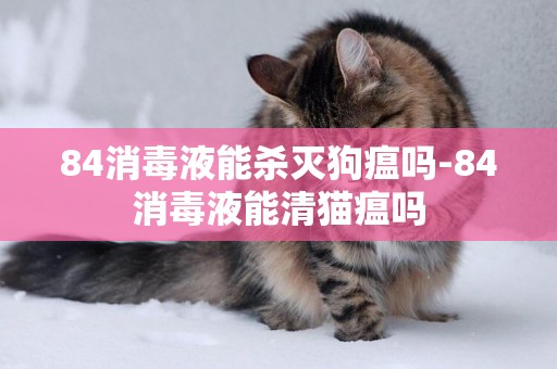 84消毒液能殺滅狗瘟嗎-84消毒液能清貓瘟嗎