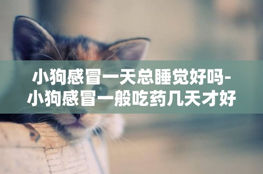 小狗感冒一天總睡覺好嗎-小狗感冒一般吃藥幾天才好