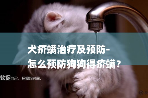 犬疥螨治療及預防-
怎么預防狗狗得疥螨？