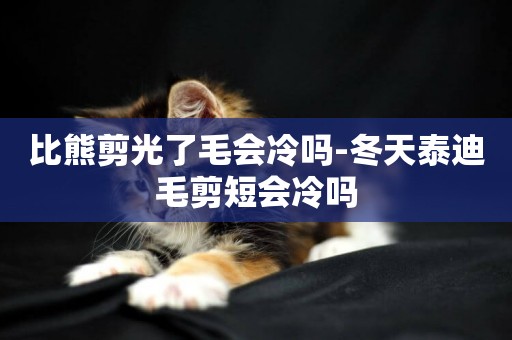 比熊剪光了毛會冷嗎-冬天泰迪毛剪短會冷嗎