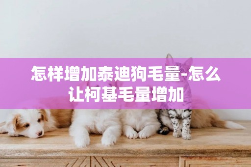 怎樣增加泰迪狗毛量-怎么讓柯基毛量增加
