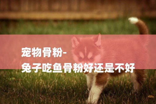 寵物骨粉-
兔子吃魚骨粉好還是不好