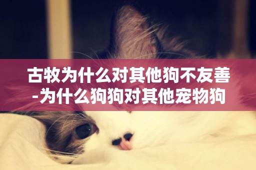 古牧為什么對其他狗不友善-為什么狗狗對其他寵物狗不友善也不給聞