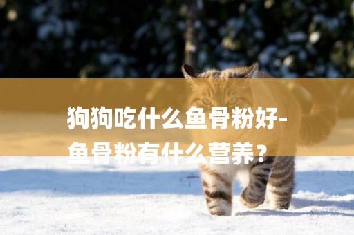 狗狗吃什么魚骨粉好-
魚骨粉有什么營養？