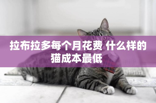 拉布拉多每個月花費 什么樣的貓成本最低 