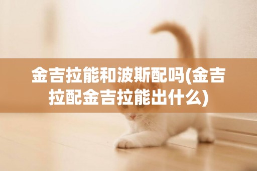 金吉拉能和波斯配嗎(金吉拉配金吉拉能出什么)