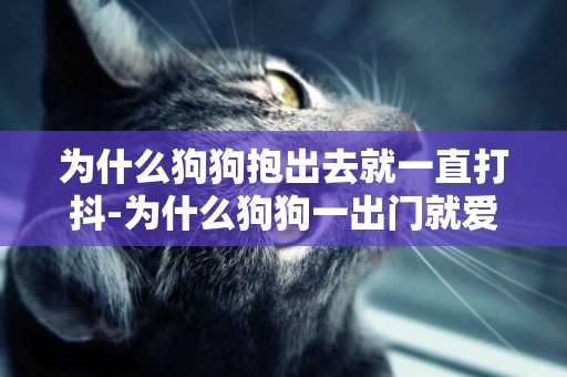 為什么狗狗抱出去就一直打抖-為什么狗狗一出門就愛和其他狗打假