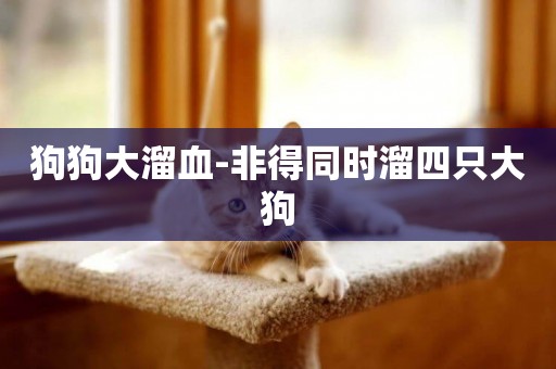 狗狗大溜血-非得同時溜四只大狗