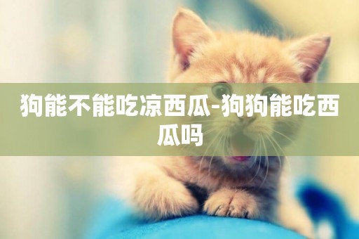 狗能不能吃涼西瓜-狗狗能吃西瓜嗎