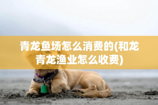 青龍魚場怎么消費的(和龍青龍漁業怎么收費)