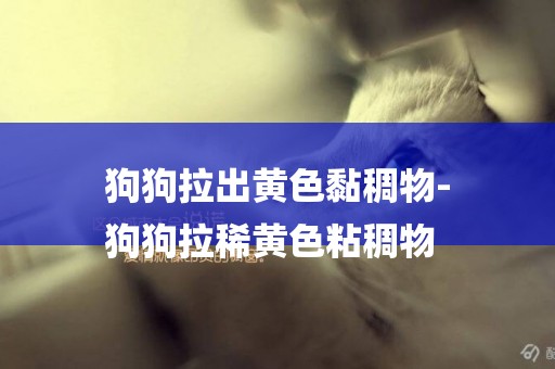 狗狗拉出黃色黏稠物-
狗狗拉稀黃色粘稠物