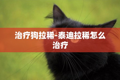 治療狗拉稀-泰迪拉稀怎么治療