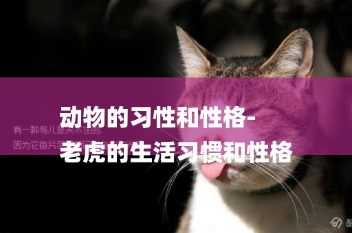動物的習性和性格-
老虎的生活習慣和性格