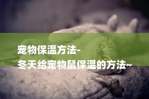 寵物保溫方法-
冬天給寵物鼠保溫的方法~