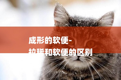 成形的軟便-
拉稀和軟便的區別