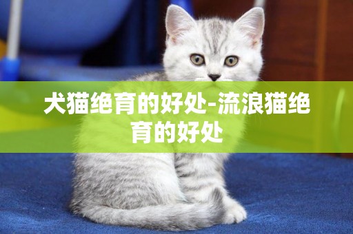 犬貓絕育的好處-流浪貓絕育的好處