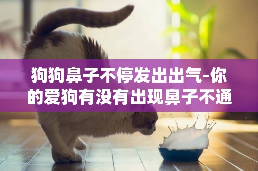 狗狗鼻子不停發出出氣-你的愛狗有沒有出現鼻子不通氣情況