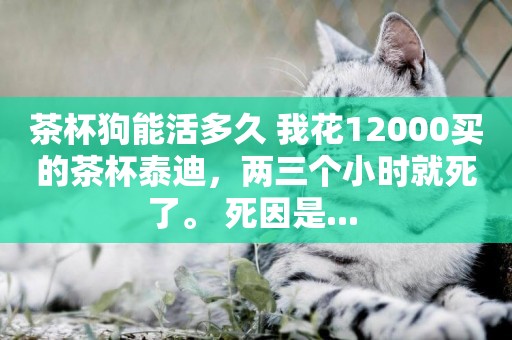 茶杯狗能活多久 我花12000買的茶杯泰迪，兩三個小時就死了。 死因是... 