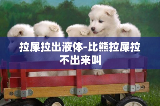 拉屎拉出液體-比熊拉屎拉不出來叫