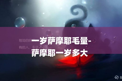一歲薩摩耶毛量-
薩摩耶一歲多大