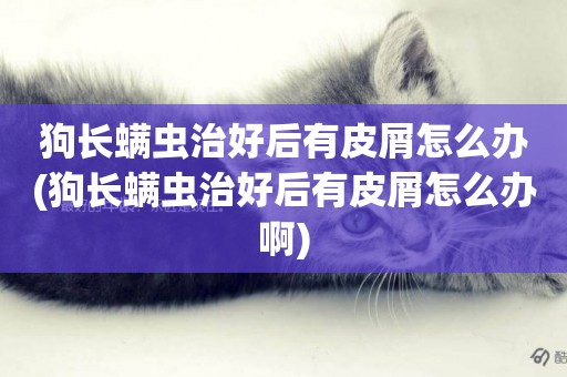 狗長螨蟲治好后有皮屑怎么辦(狗長螨蟲治好后有皮屑怎么辦啊)