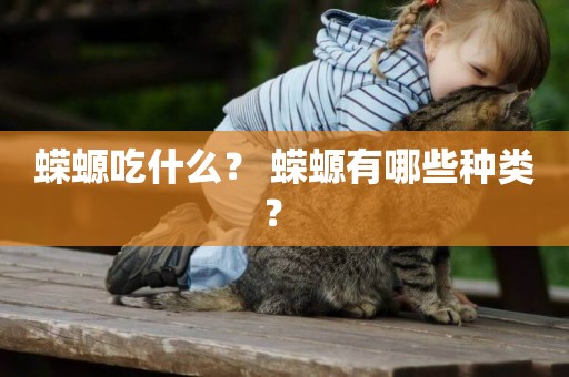 蠑螈吃什么？ 蠑螈有哪些種類？ 