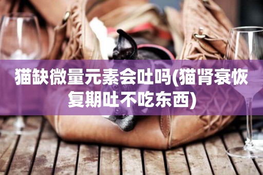 貓缺微量元素會吐嗎(貓腎衰恢復期吐不吃東西)