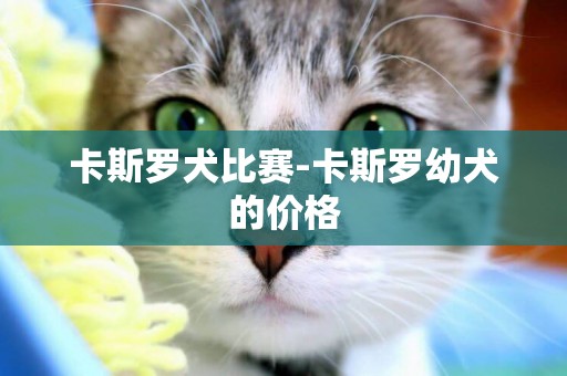 卡斯羅犬比賽-卡斯羅幼犬的價格