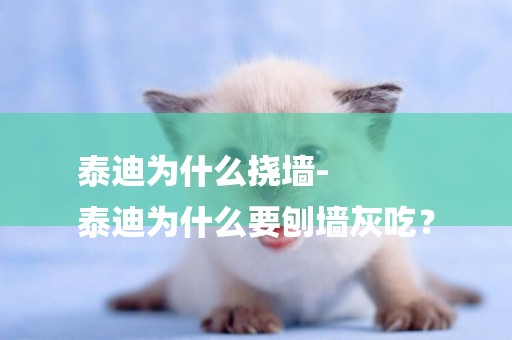 泰迪為什么撓墻-
泰迪為什么要刨墻灰吃？