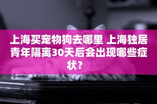 上海買寵物狗去哪里 上海獨居青年隔離30天后會出現哪些癥狀？ 
