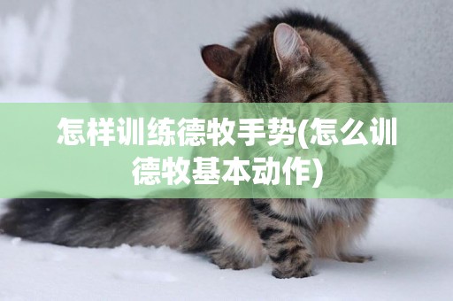 怎樣訓練德牧手勢(怎么訓德牧基本動作)