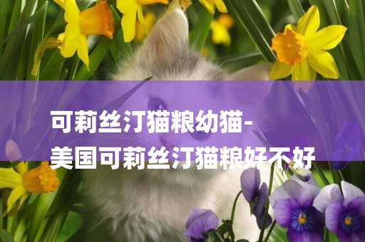可莉絲汀貓糧幼貓-
美國可莉絲汀貓糧好不好