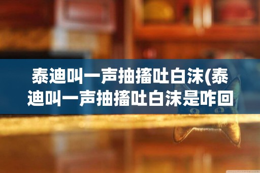 泰迪叫一聲抽搐吐白沫(泰迪叫一聲抽搐吐白沫是咋回事)