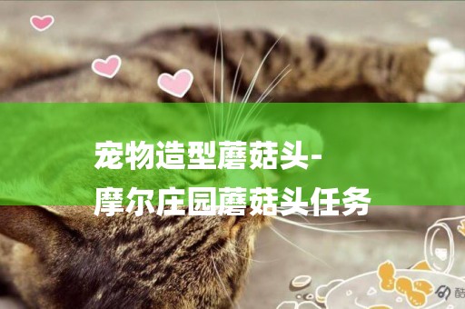 寵物造型蘑菇頭-
摩爾莊園蘑菇頭任務