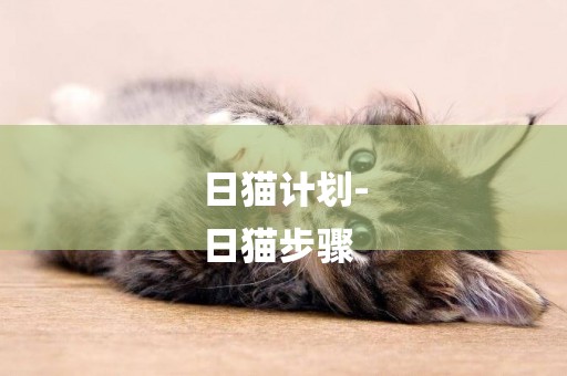 日貓計劃-
日貓步驟