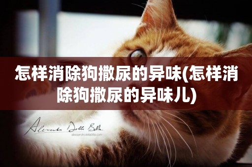 怎樣消除狗撒尿的異味(怎樣消除狗撒尿的異味兒)