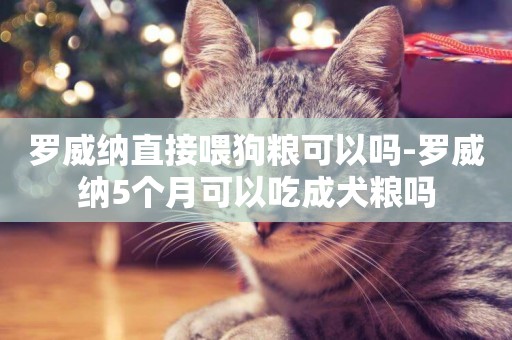 羅威納直接喂狗糧可以嗎-羅威納5個月可以吃成犬糧嗎