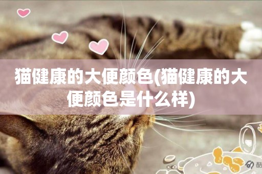 貓健康的大便顏色(貓健康的大便顏色是什么樣)