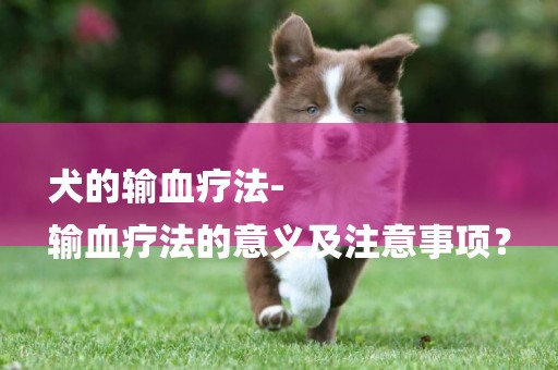 犬的輸血療法-
輸血療法的意義及注意事項？