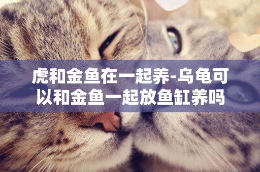 虎和金魚在一起養-烏龜可以和金魚一起放魚缸養嗎