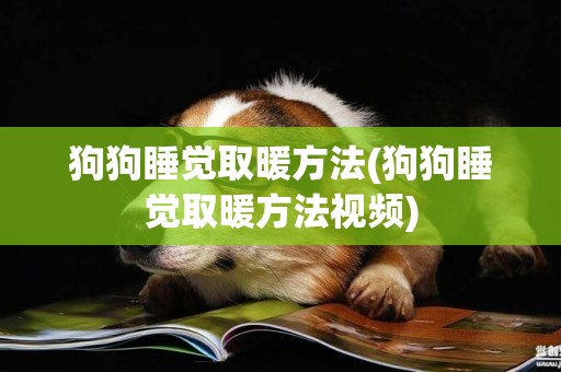 狗狗睡覺取暖方法(狗狗睡覺取暖方法視頻)