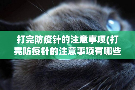 打完防疫針的注意事項(打完防疫針的注意事項有哪些)