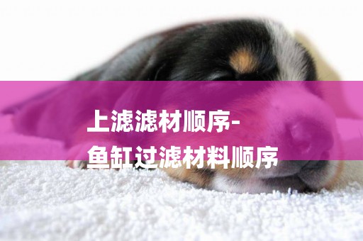 上濾濾材順序-
魚缸過濾材料順序