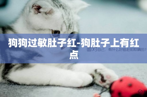 狗狗過敏肚子紅-狗肚子上有紅點
