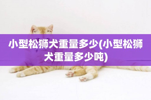 小型松獅犬重量多少(小型松獅犬重量多少噸)